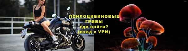 метадон Арсеньев