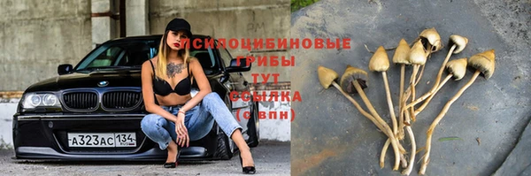 метадон Арсеньев
