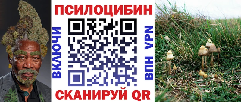 Галлюциногенные грибы MAGIC MUSHROOMS  Суджа 