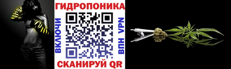 kraken как войти  Суджа  Каннабис VHQ 